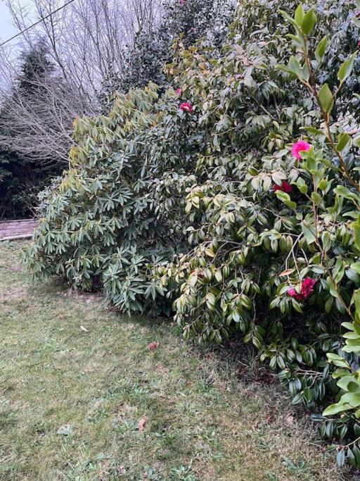 Maison Bretonne 7 Personnes Casa vacanze *